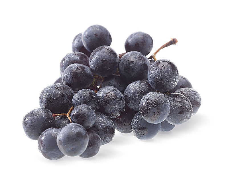 Neu im Sortiment KW8-9 Trauben blau mit Kern